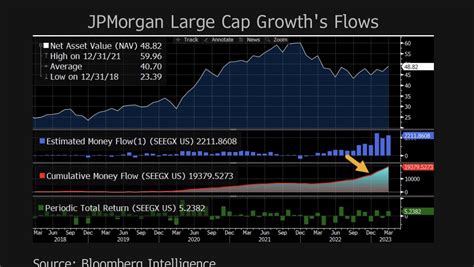 jpmorgan large cap value fund.